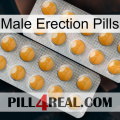 Male Erection Pills levitra2